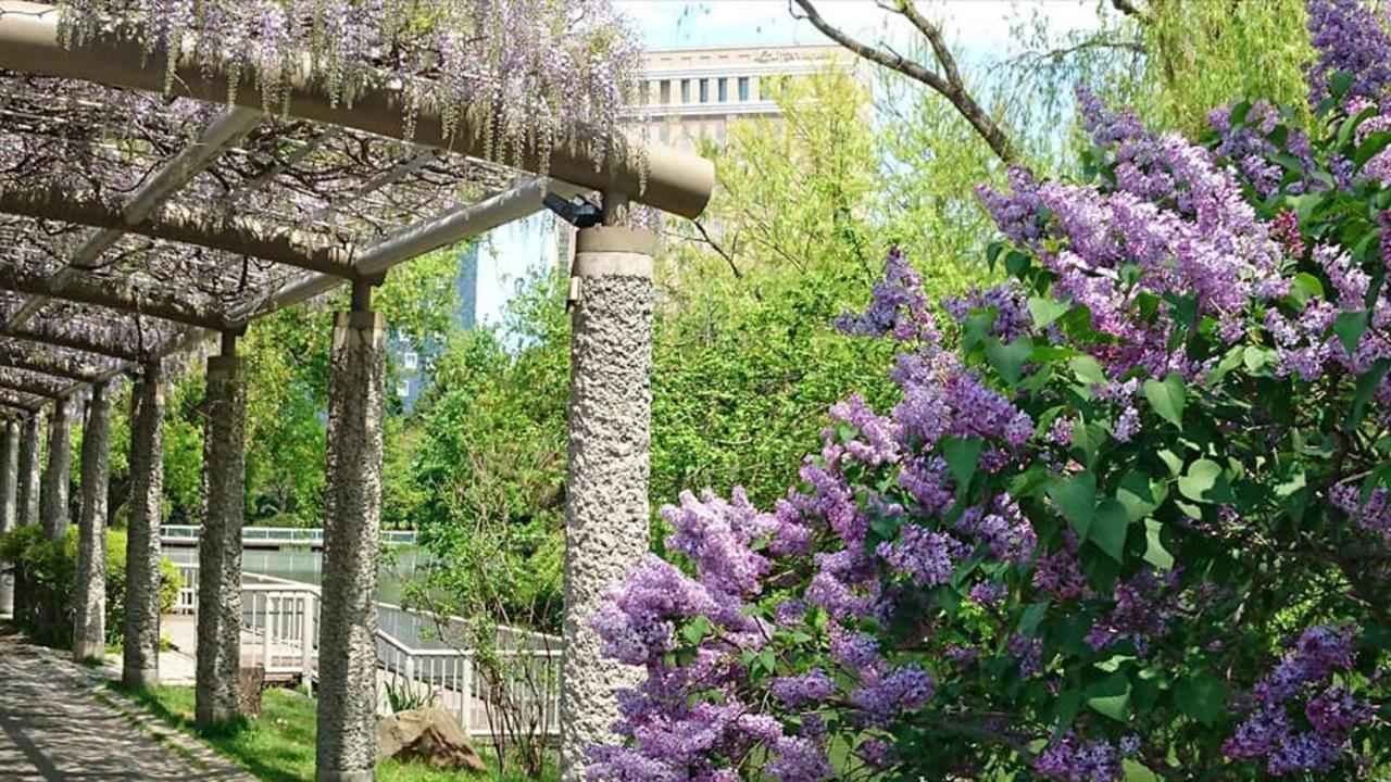 Hotel Lifort Szapporo Kültér fotó